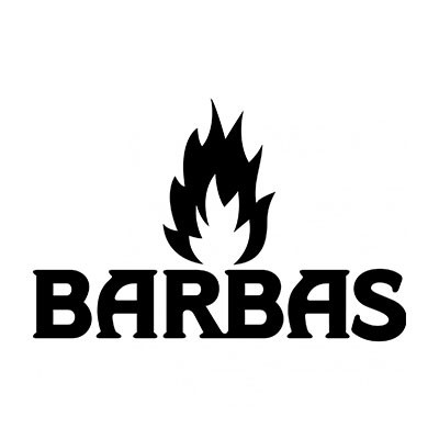 Barbas : appareils de chauffage au bois à Namur